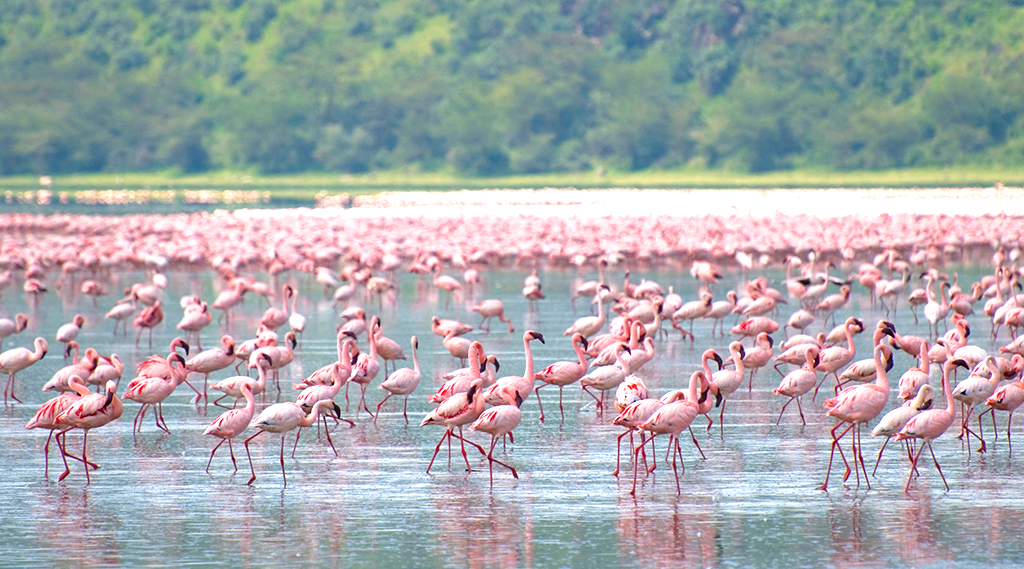Lago-Nakuru-
