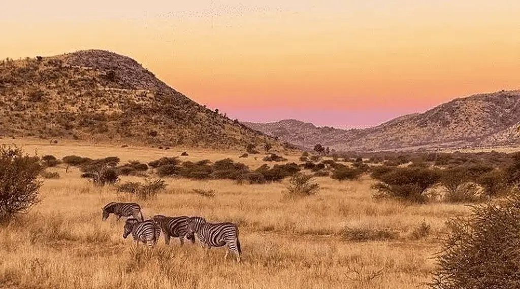 Parque Nacional de Pilanesberg