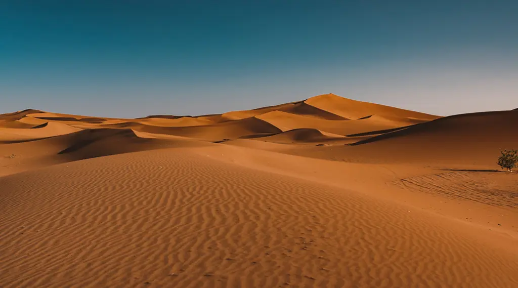 dunas del Sahara