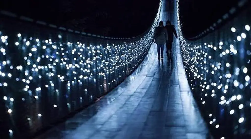 Luces Mágicas de Vancouver con Capilano